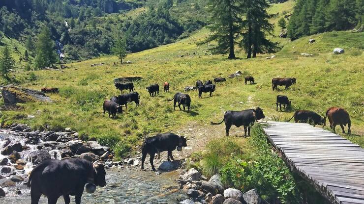 file7as4mfhg6gpjz3onh7r