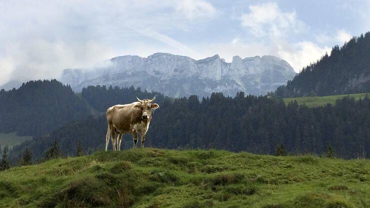 file7c66qsf1d7crjjd2mu7