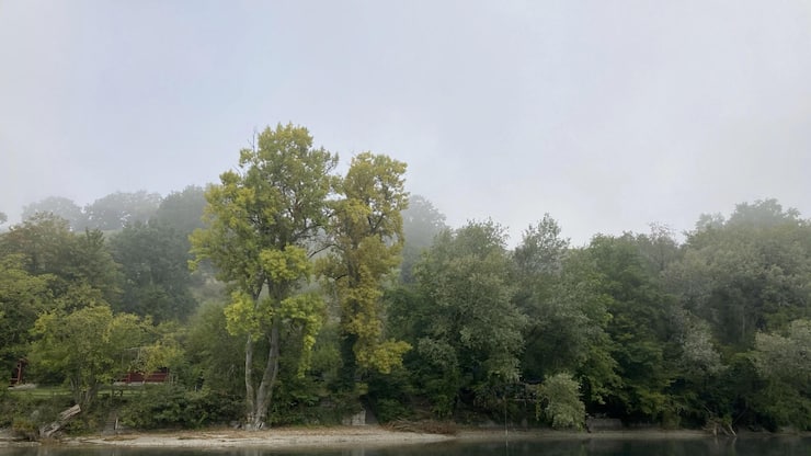 file7crq7m8c2rl6n8n2ki1