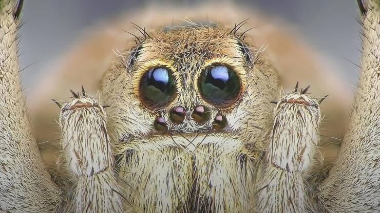 file7crp8bfe56fdhgouo0i