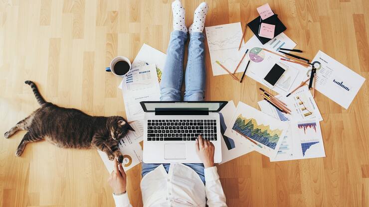 file72y3pzptjsy1lm5l5o4n