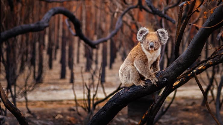 file75giddp3k5k6qz4aizm