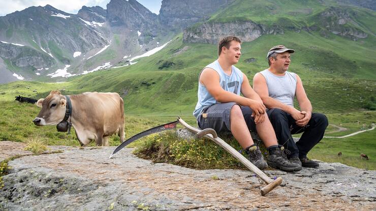 file74ym4xcgpyf1a7yaqjsl