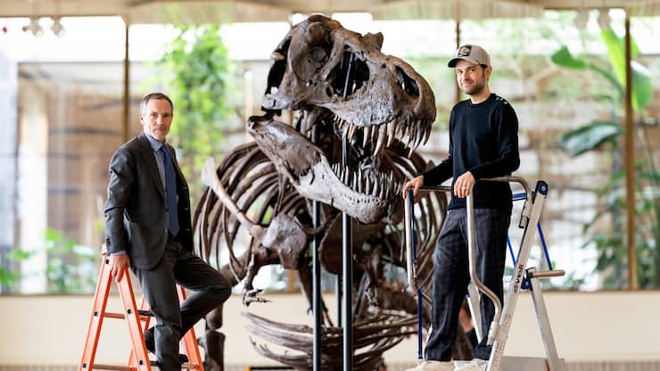 Squelette d'un T-Rex à Zurich