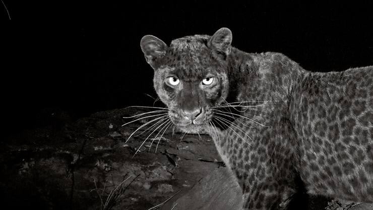 file74cxjnedqzqau7rrb2g