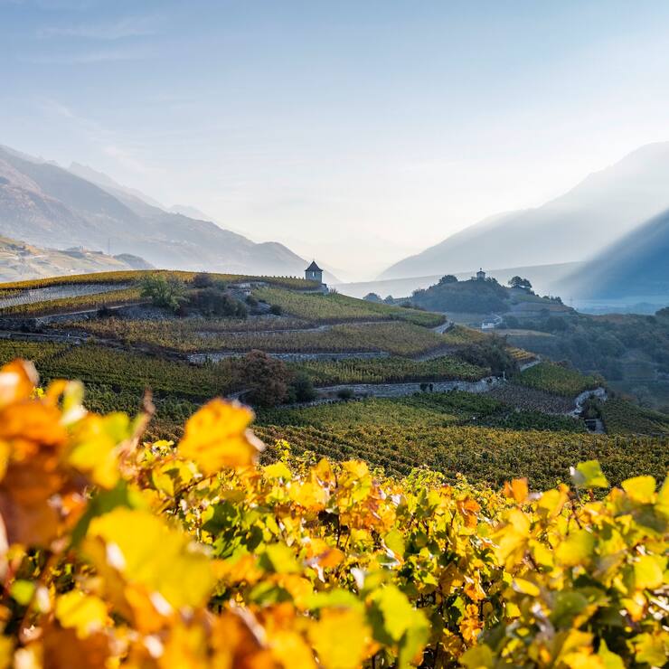 Valais automne flamboyant