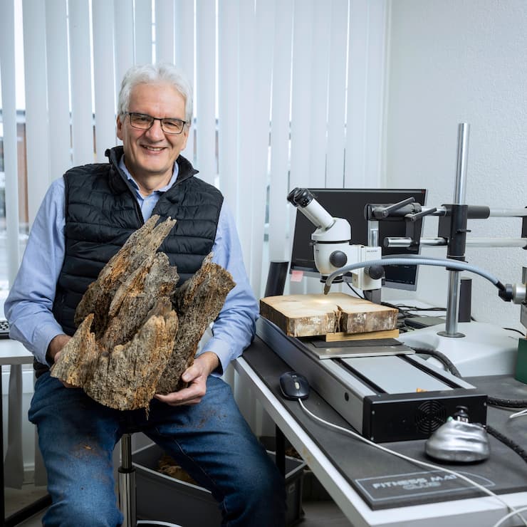 Jean-Pierre Hurni travaillant pour le Laboratoire Romand de dendrochronologie de Cudrefin. 