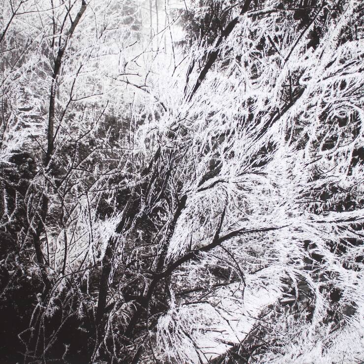 Exposition «Branche de lilas» du 2 au 23 décembre à Vevey