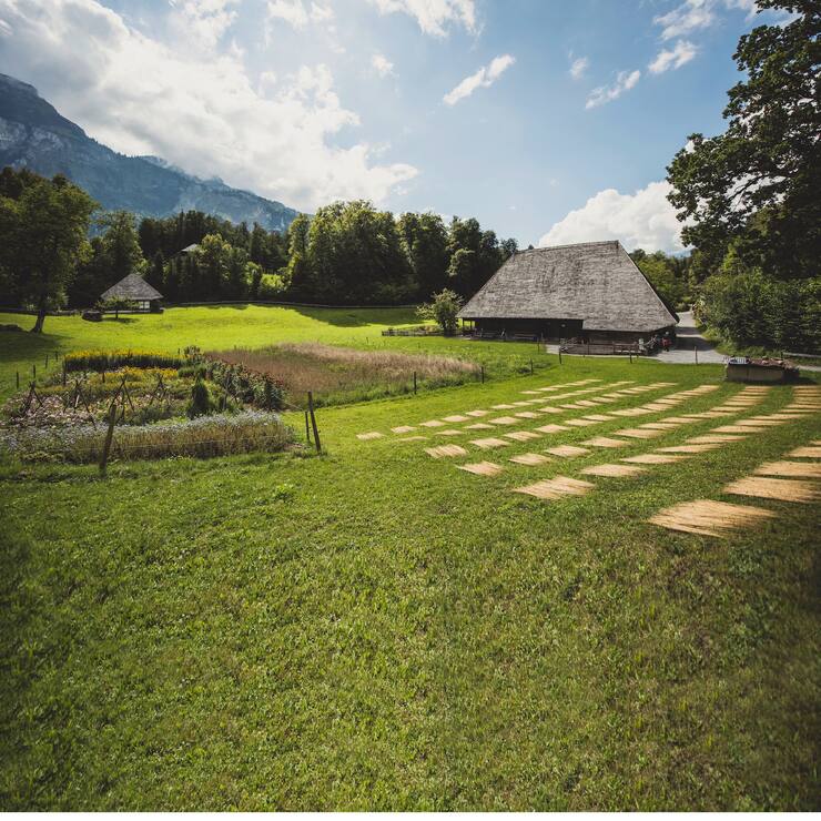 Musée suisse en plein air de Ballenberg