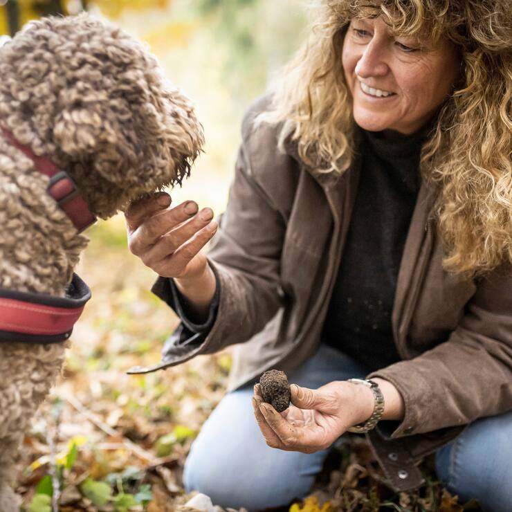 Barbara Demont, confiseuse et passionnÃ©e par le cavage (recherche de truffes), intÃ©ragit avec son chien de la race lagoto, Piff, en trouvant le mystÃ©rieux champignon dans une forÃªt de la rÃ©gion de Vullierens dans le canton de Vaud, le lundi 15 novembre 2021. La truffe noir ou truffe du PÃ©rigord, se dÃ©veloppe au printemps sous les arbres tels que les chÃªnes, pins ou encore tilleuls, puis arrivent Ã  maturation autours du mois de novembre. (Â© Gabriel Monnet/ LâillustrÃ©)