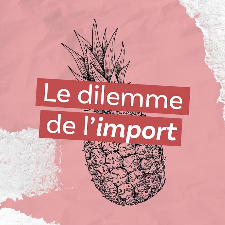 «Le dilemme de l'import», quatrième épisode du podcast «Le ver(t) dans l'assiette?»