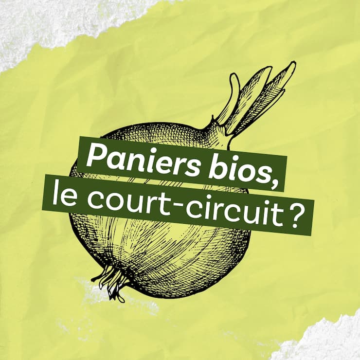Paniers bio, le court-circuit?, épisode 6 du podcast «Le ver(t) dans l’assiette?»