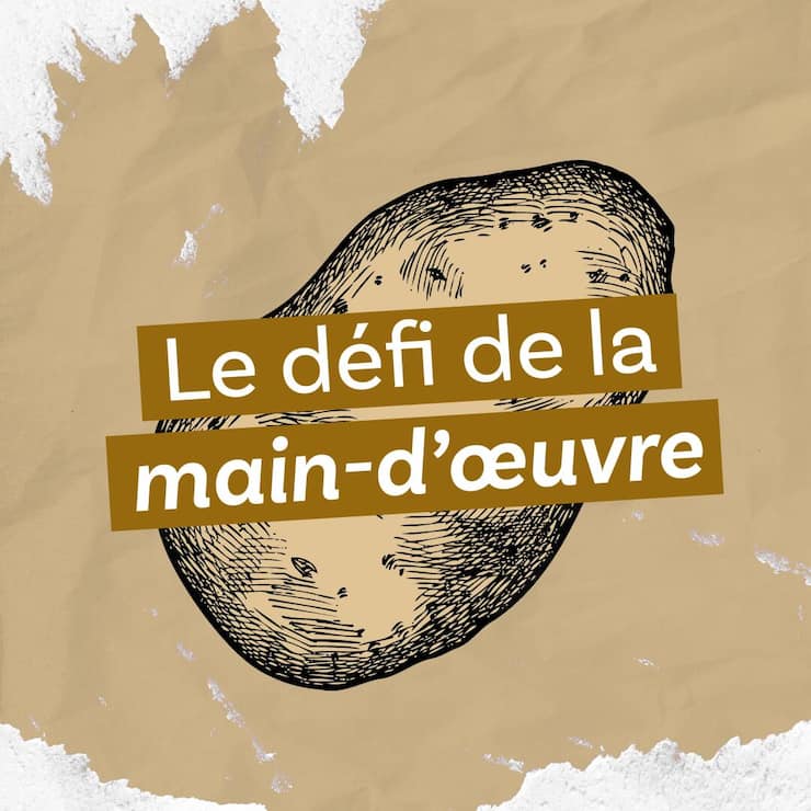 «Le défi de la main-d'œuvre», huitième épisode du podcast «Le ver(t) dans l’assiette?»
