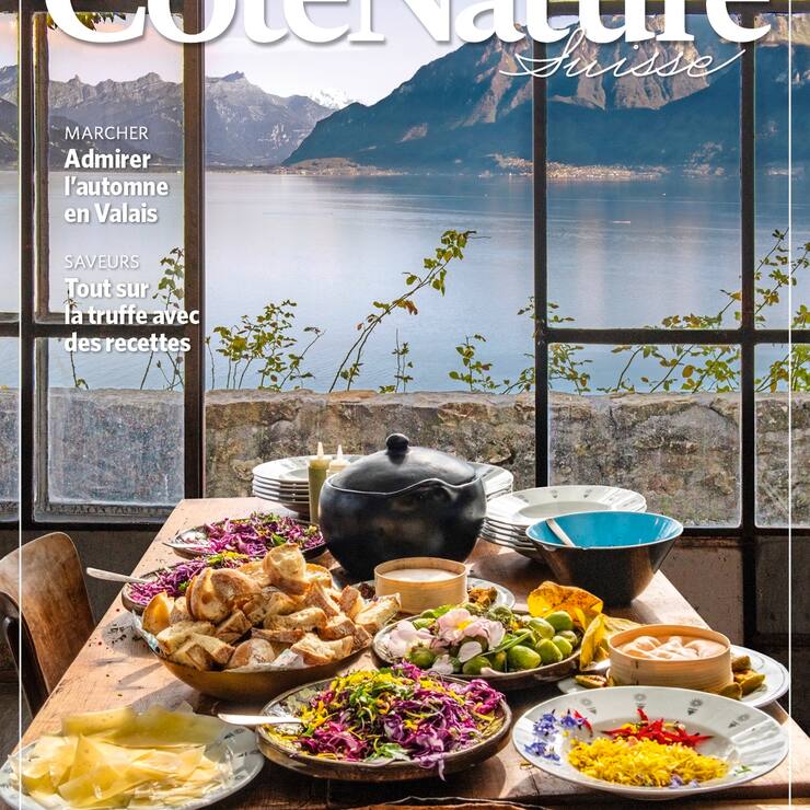 Couverture du troisième numéro du magazine CôtéNature