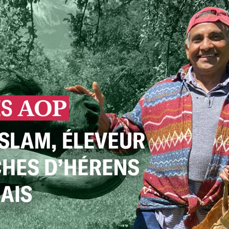 Vignette SUISSES AOP EP1