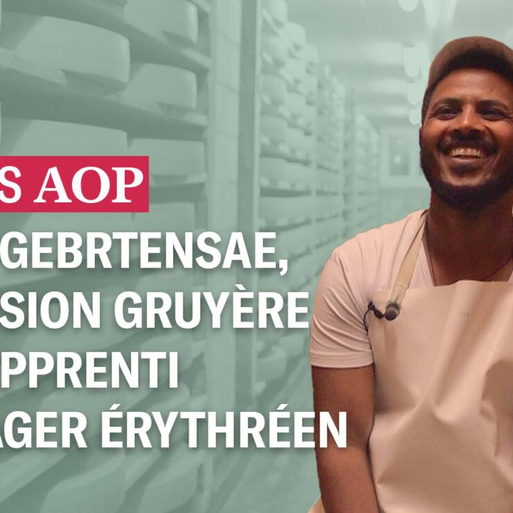 Vignette SUISSES AOP 5