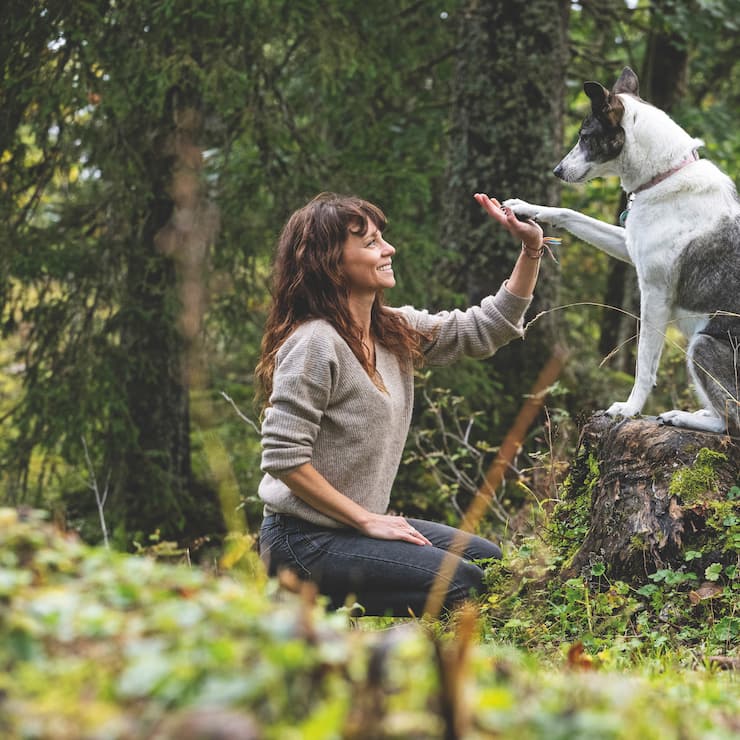 Anouck Strahm, une vie entre chiens et loups