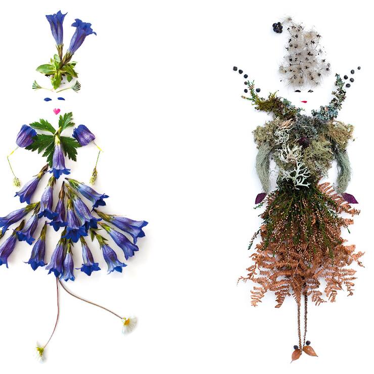 Natures mortes: composition de femmes à partir de fleurs, d'herbes et de feuilles