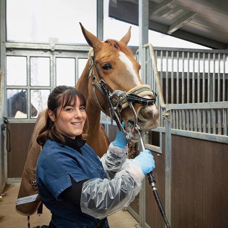Alexia Leuba-Passello, une dentiste pour chevaux