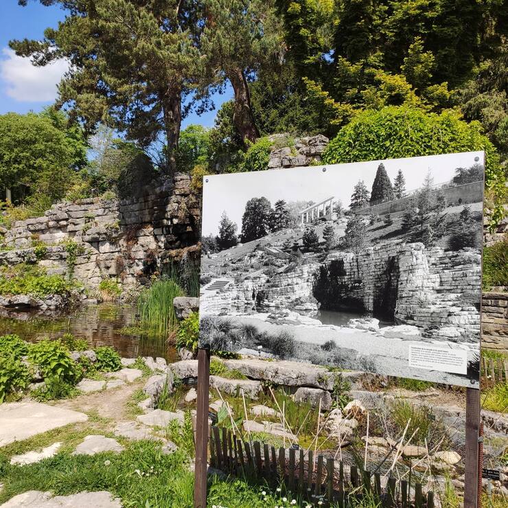 L’exposition «Vert: ville et végétal en transition», au Musée et Jardins botaniques de Lausanne