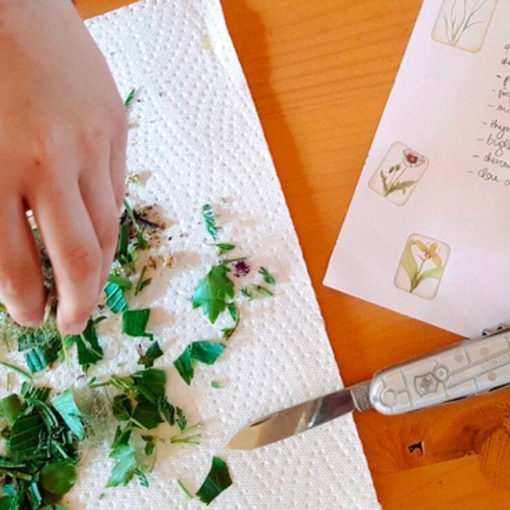 Atelier août