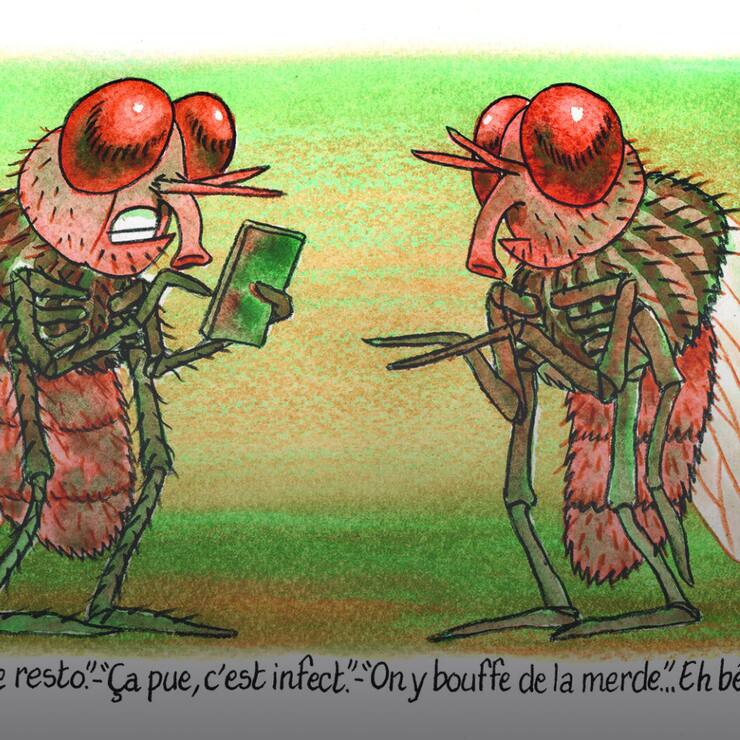 CritiquerWebOmbre