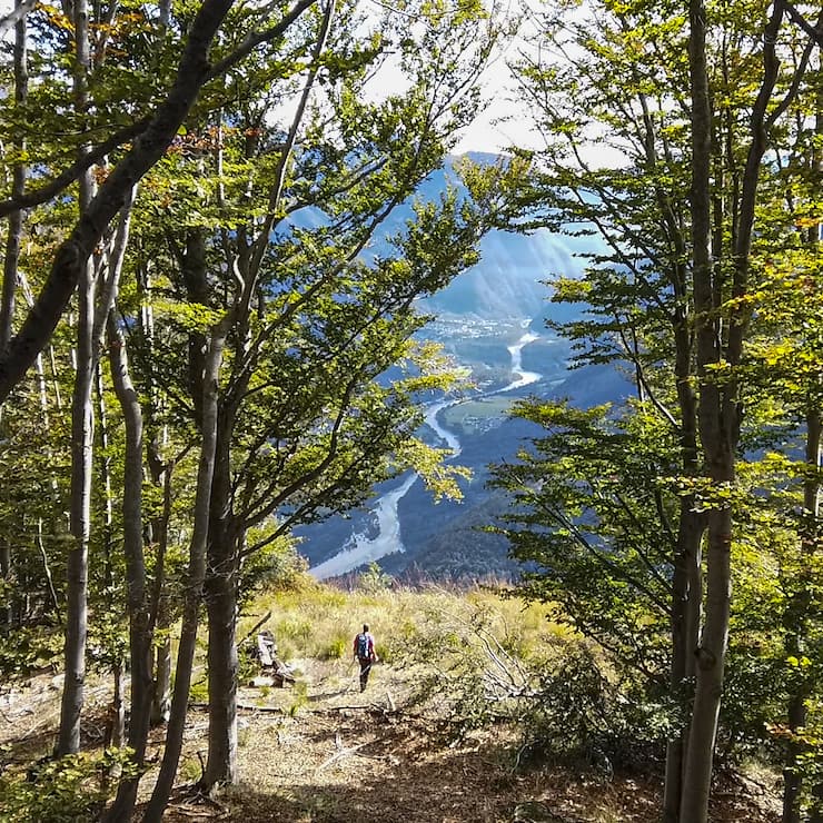 Forêt de Lodano Unesco