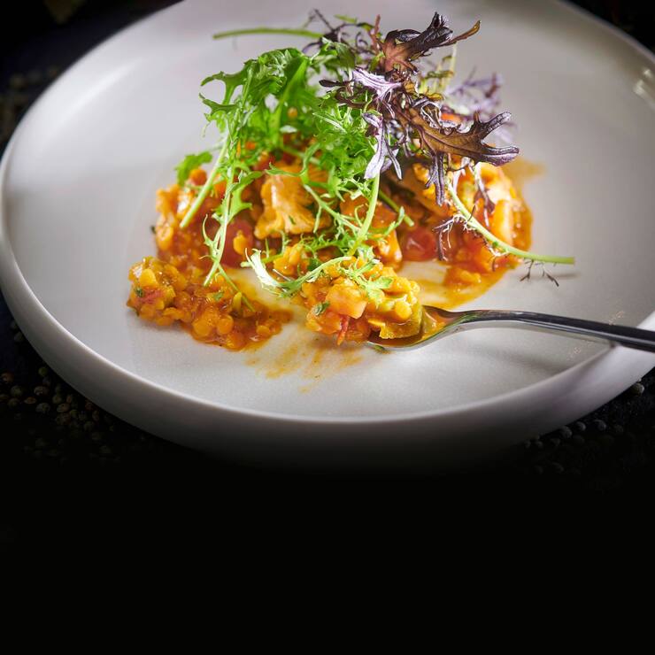 dal de lentilles corail et girolles séchées