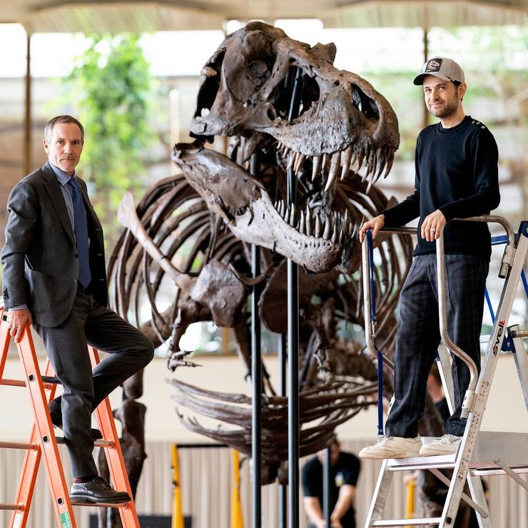 Squelette d'un T-Rex à Zurich