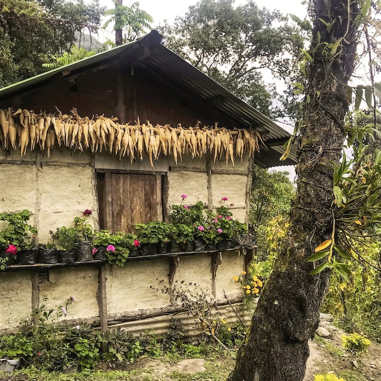 Maison traditionnelle dans la jungle dans le royaume du Sikkim