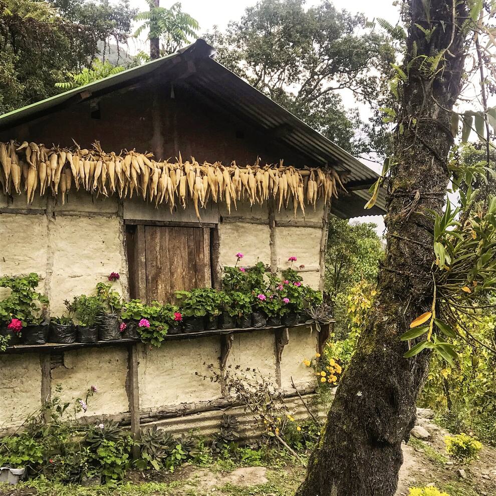Maison traditionnelle dans la jungle dans le royaume du Sikkim