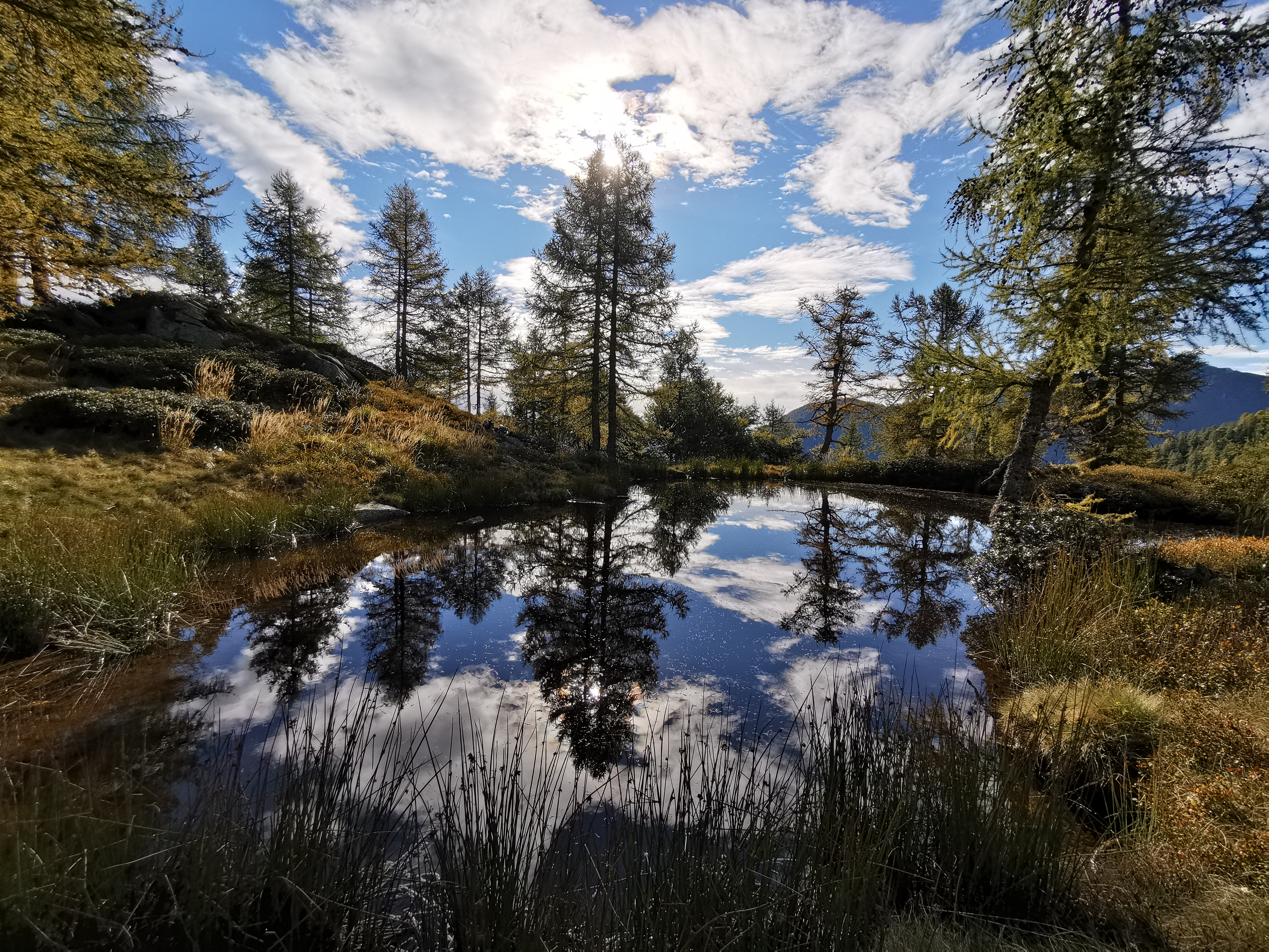 Lac forêt Lodano