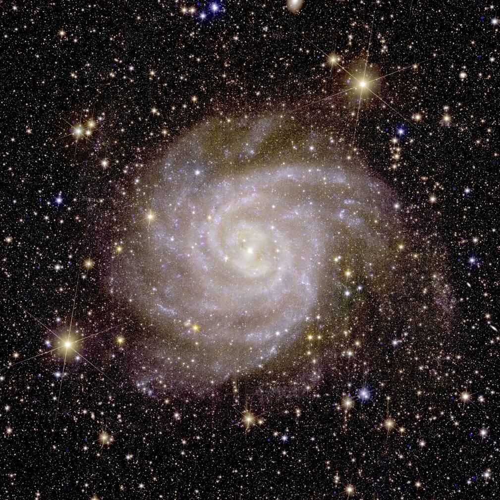 la galaxie spirale IC 342