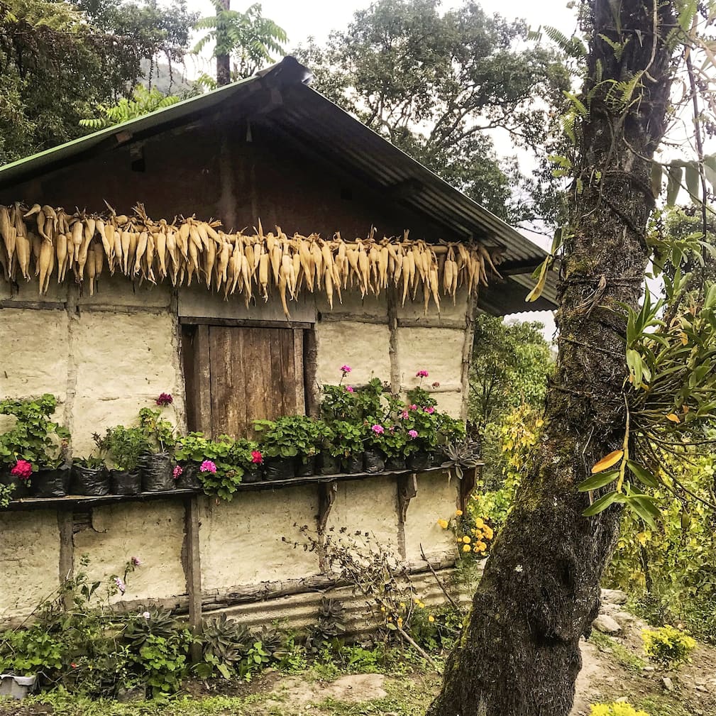 Maison traditionnelle dans la jungle dans le royaume du Sikkim