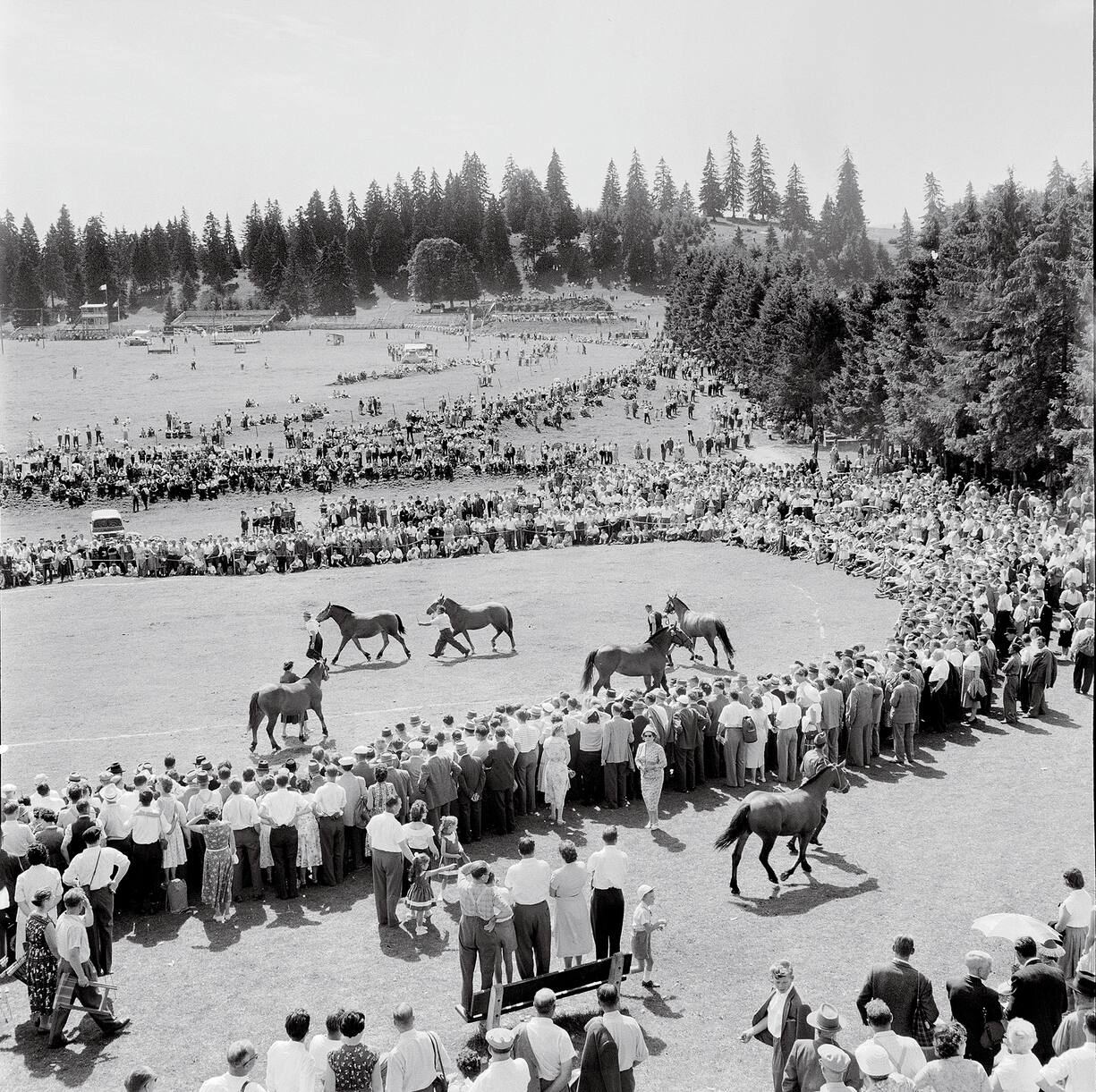 55e Marché-Concours de Saignelégier