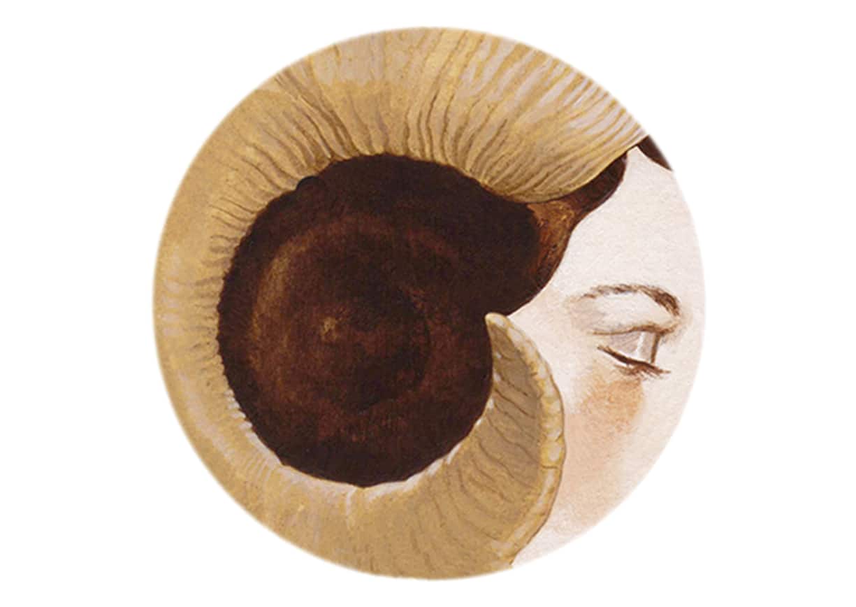 Bélier