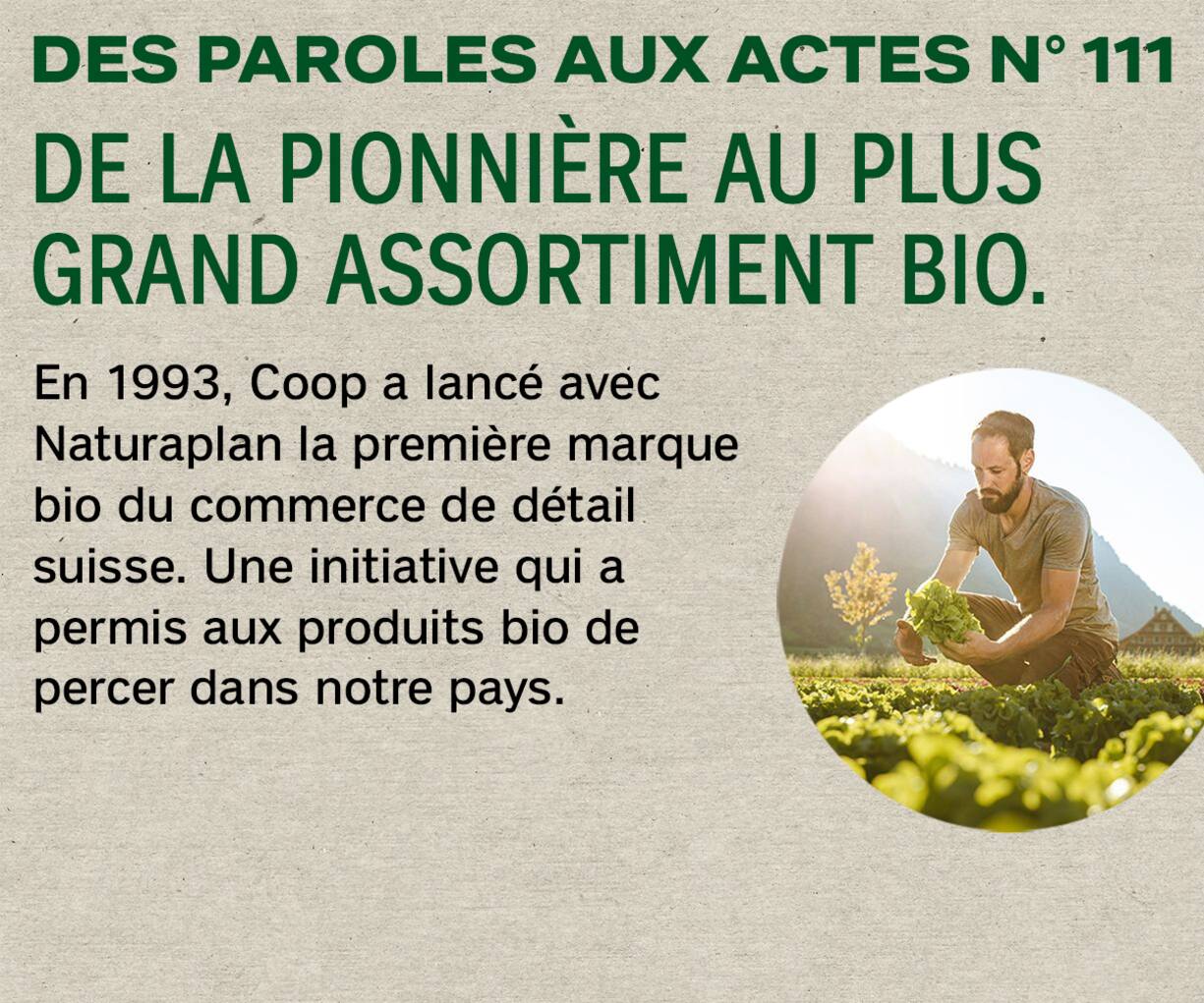 Coop Box2