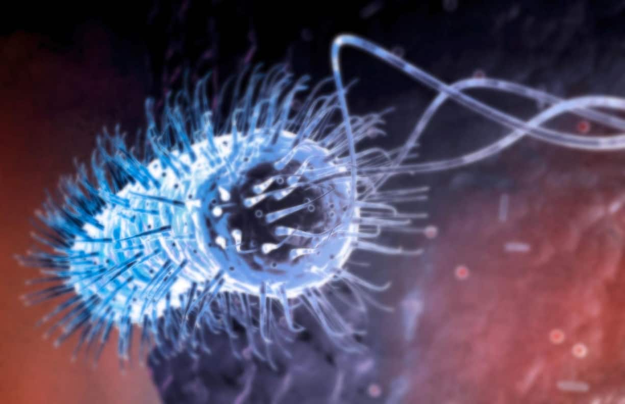 HELICOBACTER PYLORI