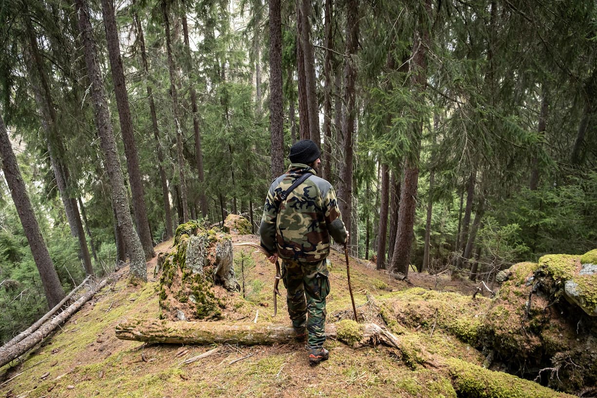 Chasse aux bois de cerf