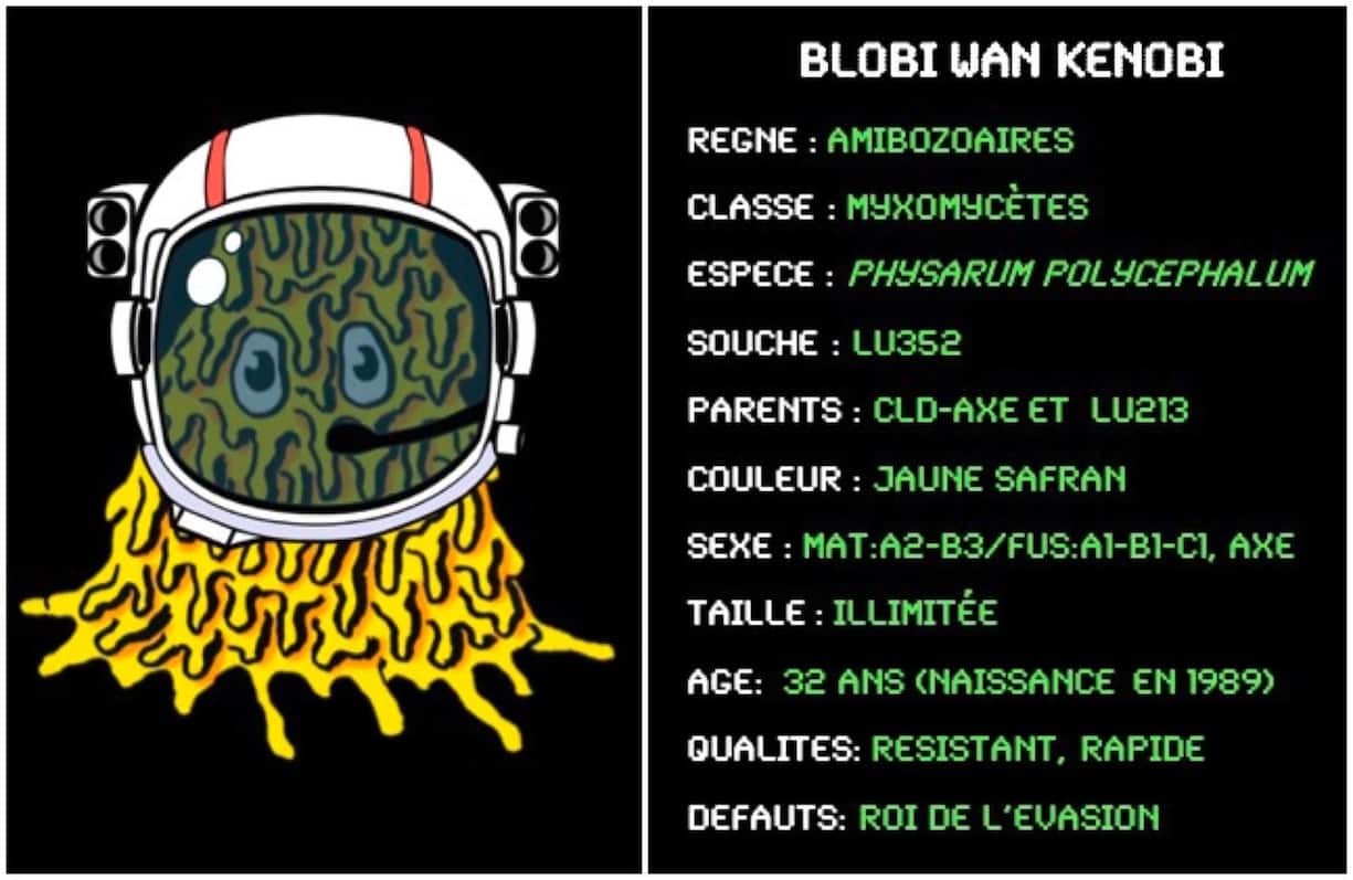 Blobi-Wan Kenobi