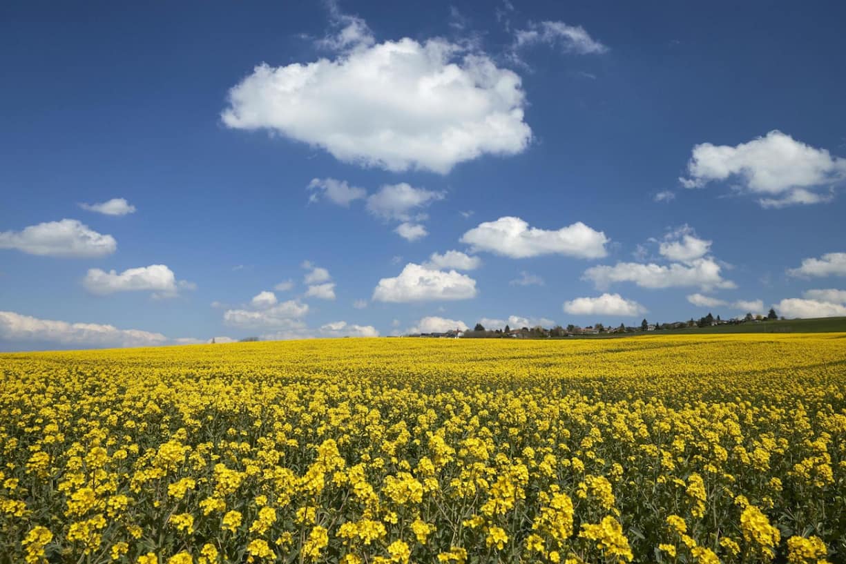Suisse votation sur les pesticides
