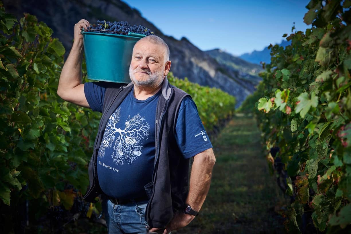 Didier Joris, viticulteur BIO