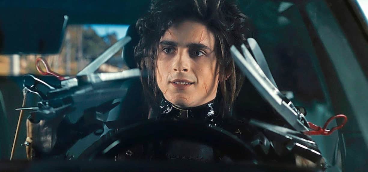 Timothée Chalamet