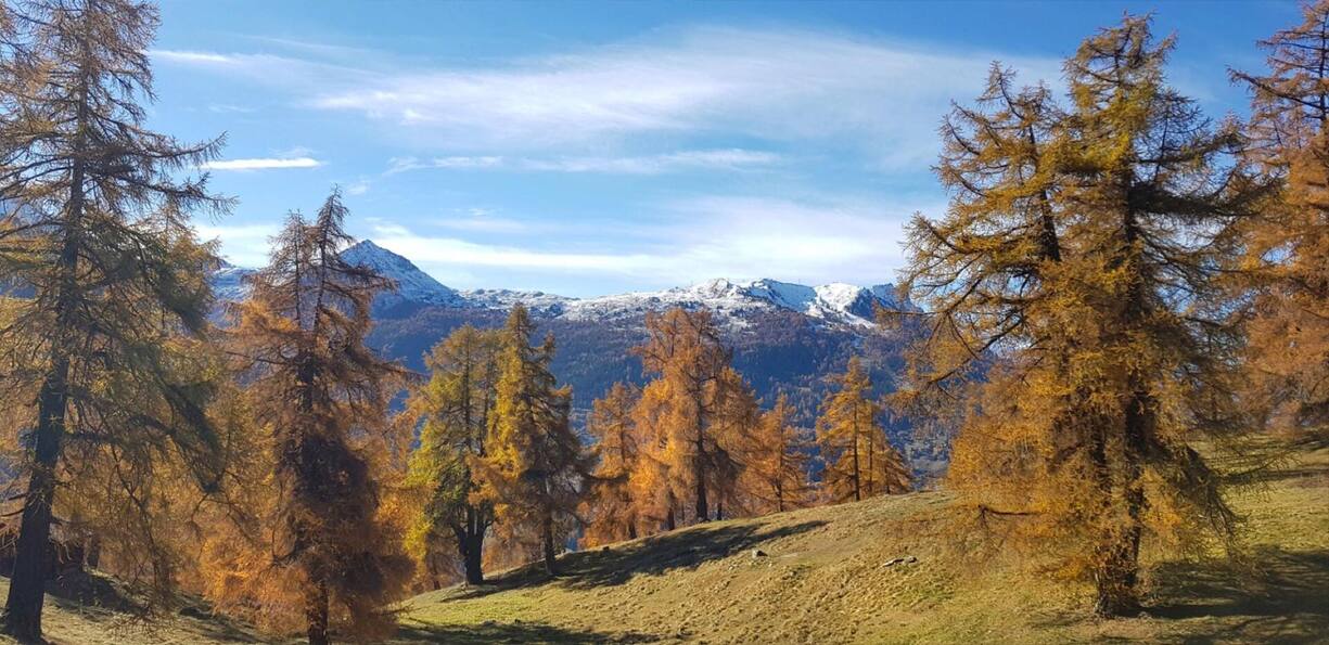 nendaz