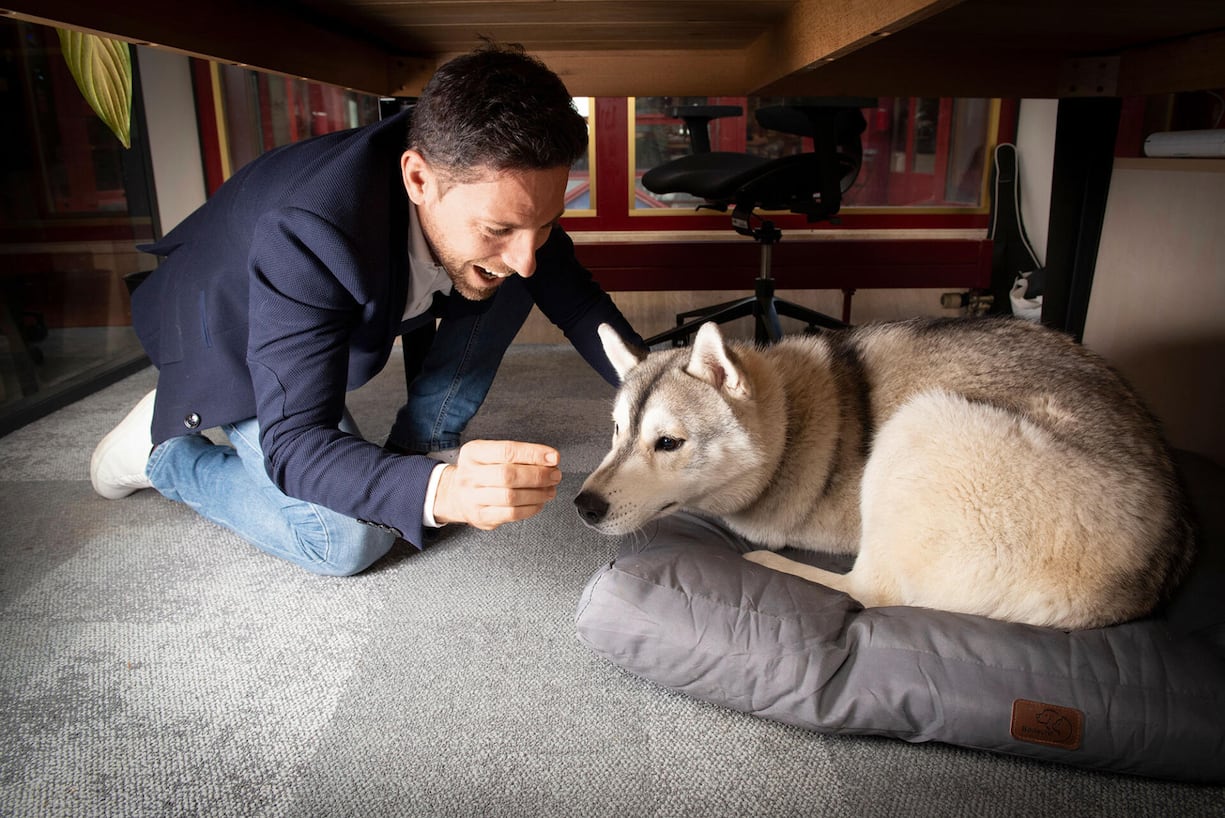 animaux bureau