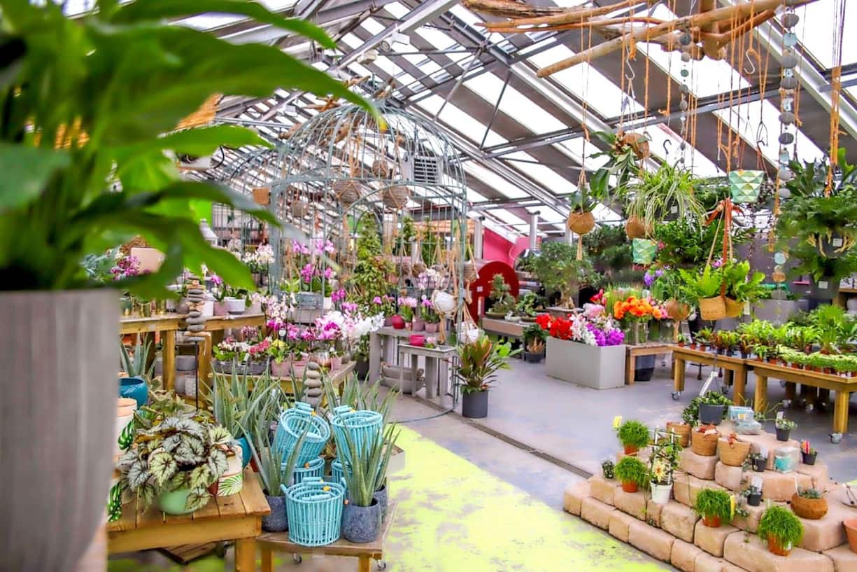 Le Garden-center de Noville