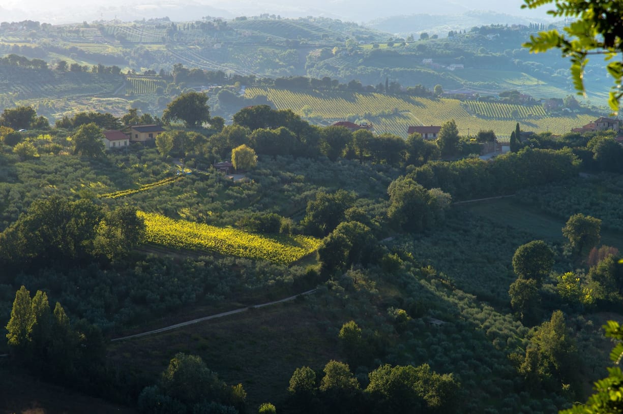 Ombire Montefalco Panorama