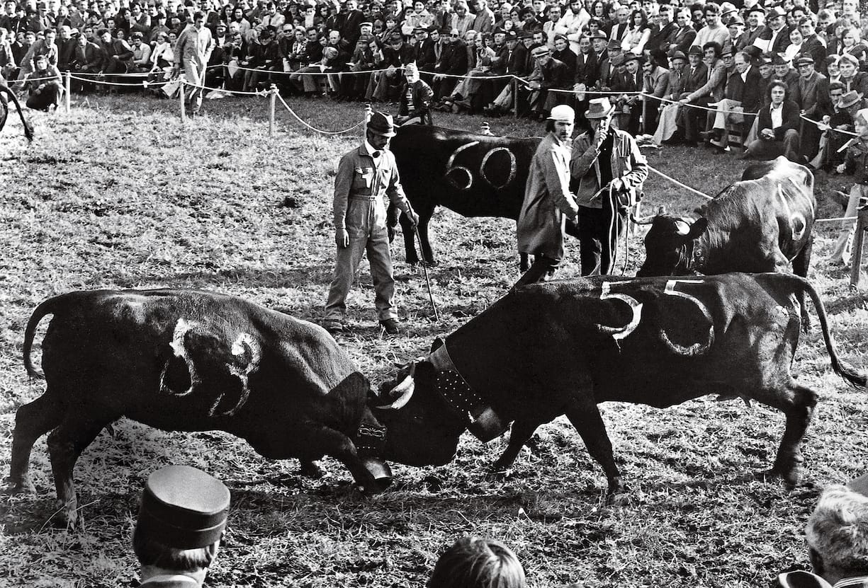 Foire Valais