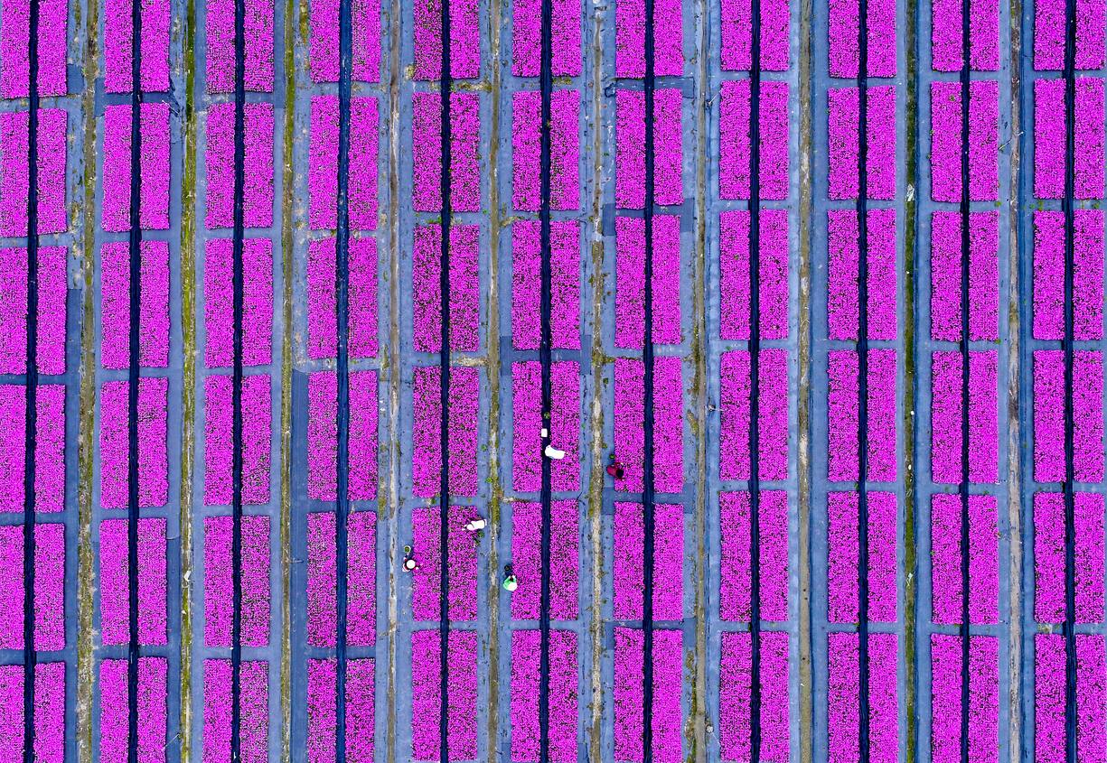file736xtk13pit16z53i7yi