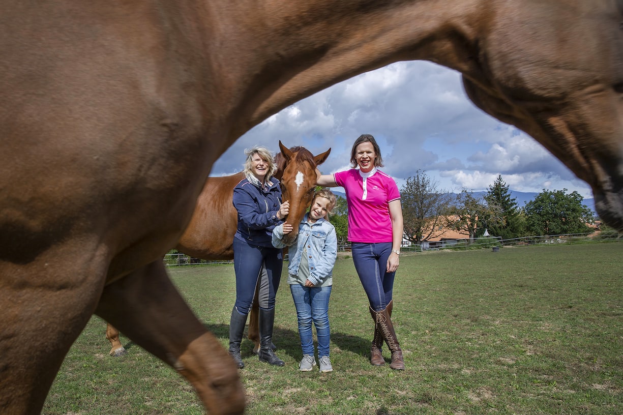 Les Hug possèdent quatre chevaux qui gambadent dans leur champ. Ils font tous les jours des balades en famille.